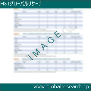 グローバルリサーチ調査レポートのイメージ